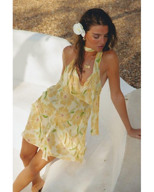 Wild Lovers Metallic Sundance Dress