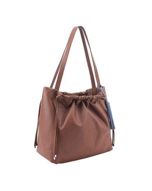 Lloyd Baker Brown Hyacinth
