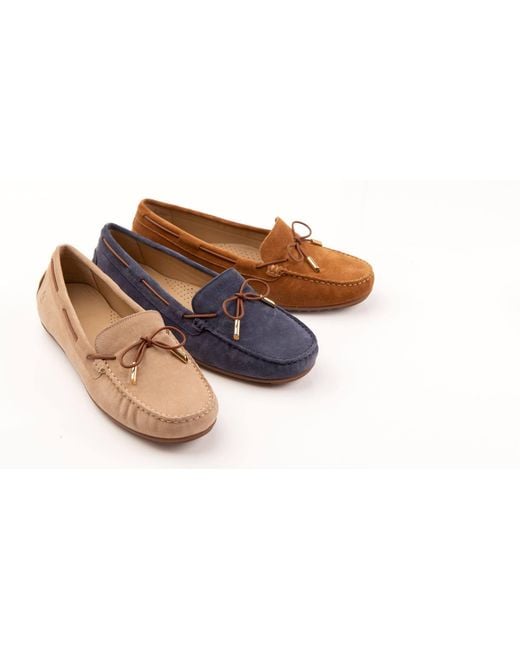 Franchetti Bond Brown Elodie Toasted Tan Suede