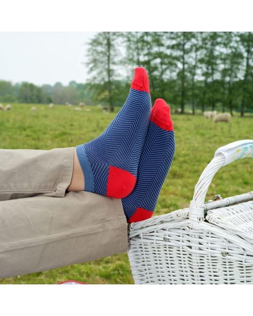 Peper Harow - Made in England Blue Trainer Socks Bundle – Seven Pairs Lux Taylor for men