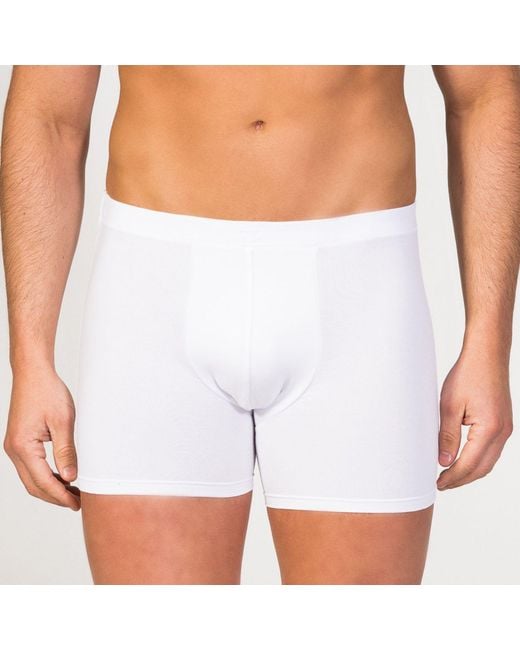 Zd - Zero Defects Gray Breno Boxer for men