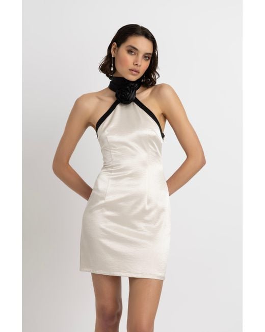 Amy Lynn Natural Neutrals Rosella Satin Halterneck Mini Dress