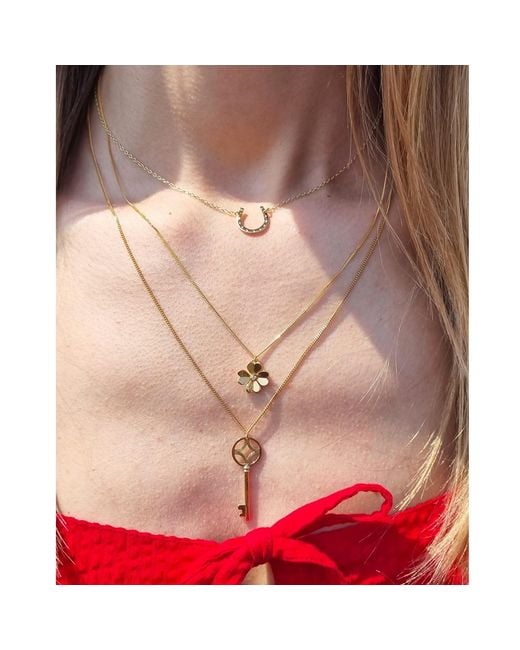 Lee Renee Metallic Lucky Horseshoe Necklace