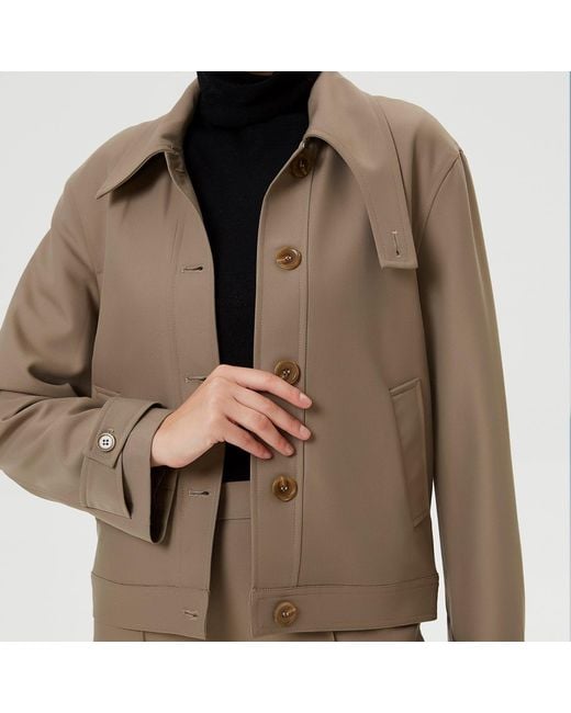 Smart and Joy Gray Buttoned Collar Short Jacket