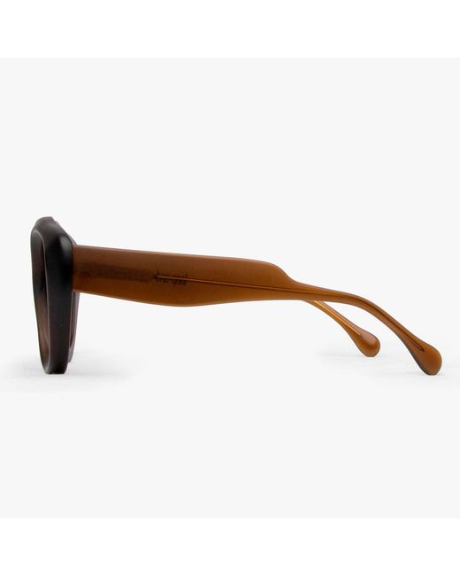 Loop and Egg Brown Sunglasses L A G Three Dark