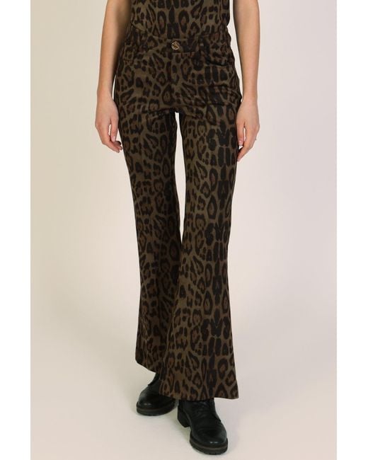 Traffic People Brown Bet Lynch Lives Leopard Print Staunch Flared Trousers