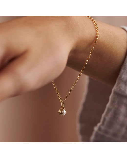 Posh Totty Designs Metallic Gold Pearl & Shell Charm Bracelet