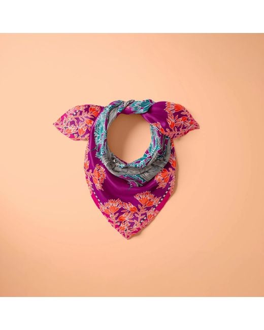 Creature Marseille Purple Parata Nuziale