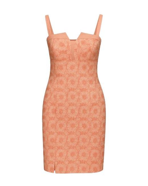 Conquista Multicolor Elegant Coral Jacquard Dress With Structured Notch Neckline