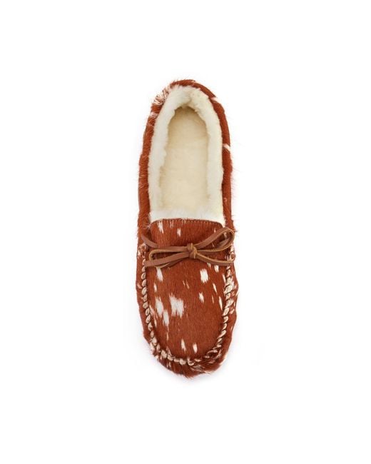Australia Luxe Brown Prost Bambi