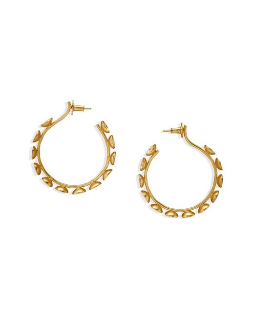 Dhwani Bansal Metallic Vitr Hoop Earrings With Freshwater Pearls