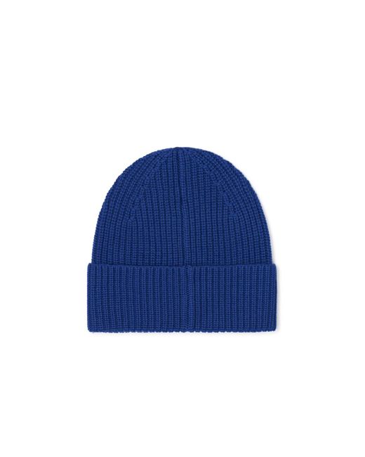 Arctic Fox & Co. Blue The Merino Wool Beanie