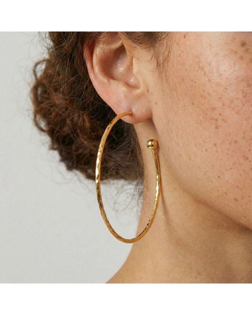 Jaredjamin Metallic Medium Hooptastic Post Earrings