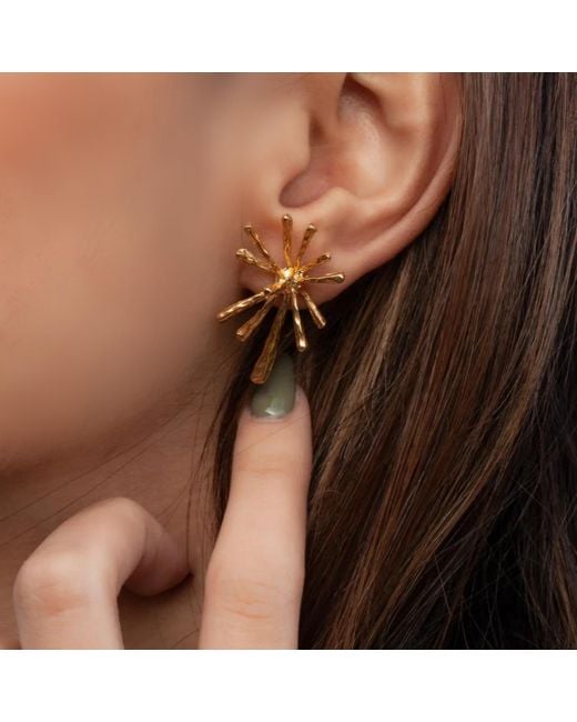 LINYA JEWELLERY Metallic Big Flow Earrings
