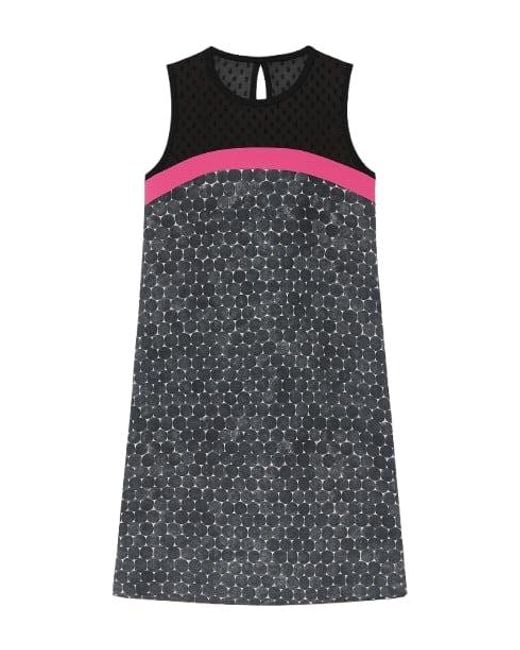 Conquista Black Sleeveless A-Line Print Dress