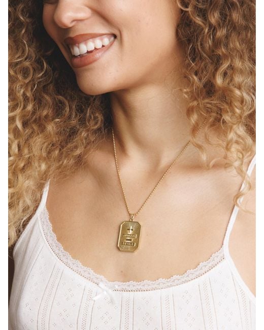 Déclarer Metallic Jamais Seuls Dog Tag