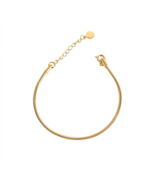 Lei & Mar Co. Metallic The Celine Snake Chain Bracelet