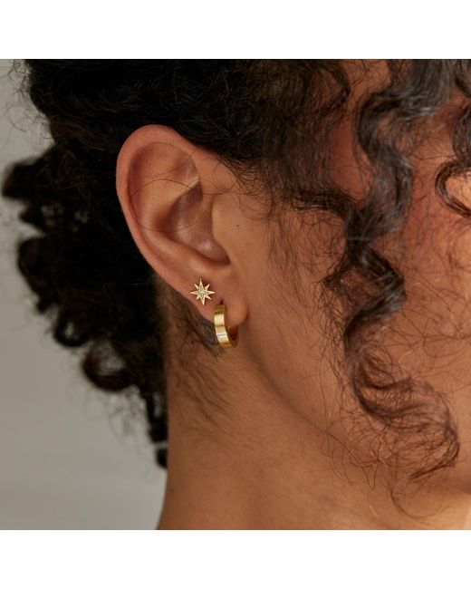Dolcetto Designs Metallic Porta Hoop Earring