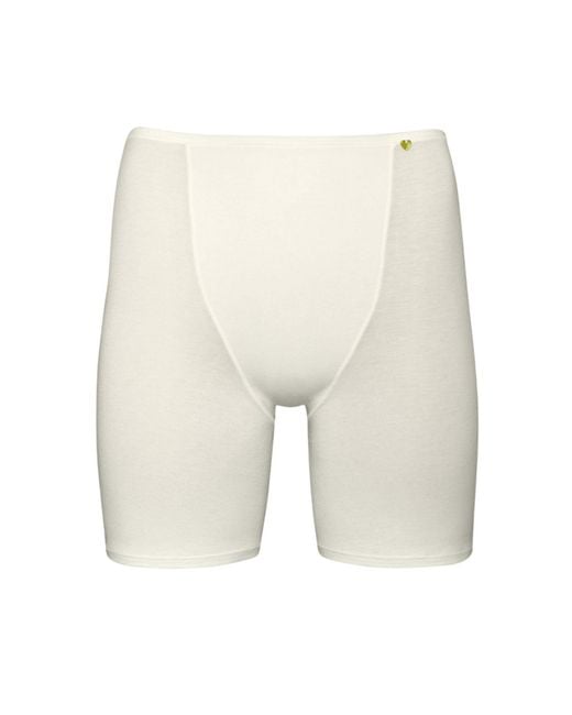 Zd - Zero Defects White Neutrals Galatea Short-Leg Panties – Comfort & Thigh Protection With Soy Fiber