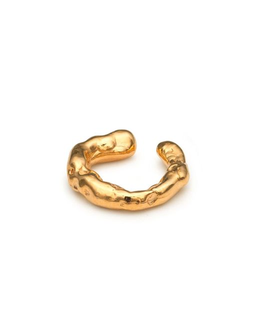 EVA REMENYI Metallic Talisman Ear Cuff
