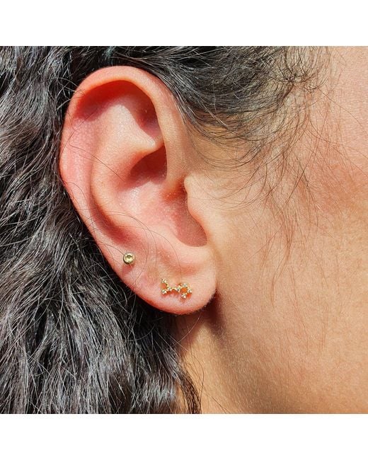 Harfi Metallic Scorpio Star Sign Constellation Astrology Tiny Earrings