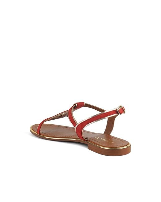 Rag & Co Brown Feodora Flat Slip-On Sandals By Rag & Co