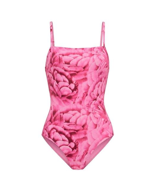 Room 24 Pink Rosie One Piece Swimsuit