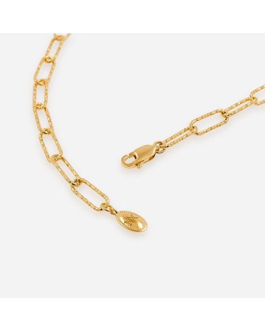 Cote Cache Metallic Asteria Textured Chain Necklace