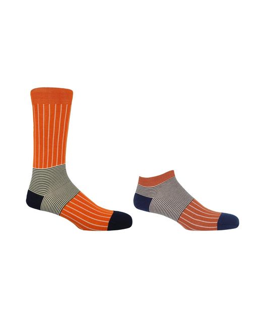 Peper Harow - Made in England Brown Oxford Stripe Luxury Crew & Trainer Socks Bundle for men