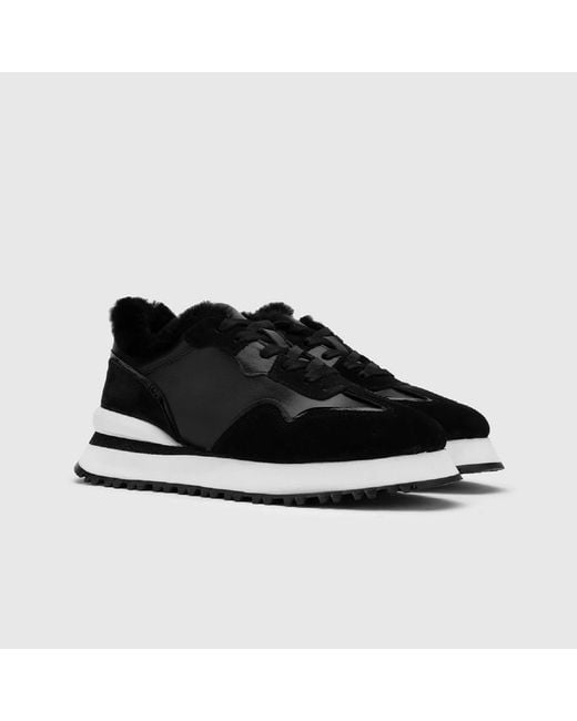 Ilvi Black Jose Suede Leather Sneaker
