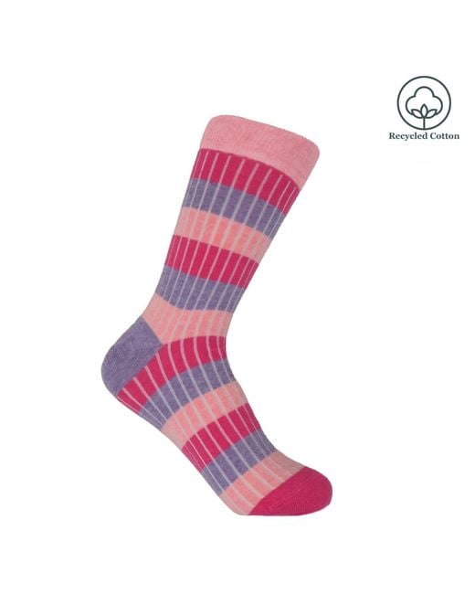 Peper Harow - Made in England Blue Five Days Socks Bundle