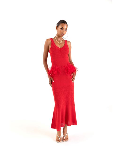 Andreeva Red Cherry Knit Dress With Real Ostrich Feather Details
