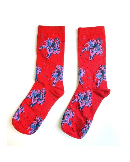 Arto. Blue Hello Flower Socks- Contrast Aqua Two Pack