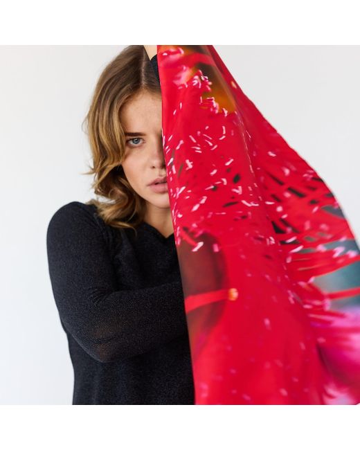 Lindsay Nicholas New York Red Melbourne Scarlet Burst Silk Scarf