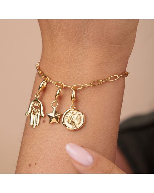 Lily Charmed Metallic Plated Luck & Magic Oval Link Charm Bracelet