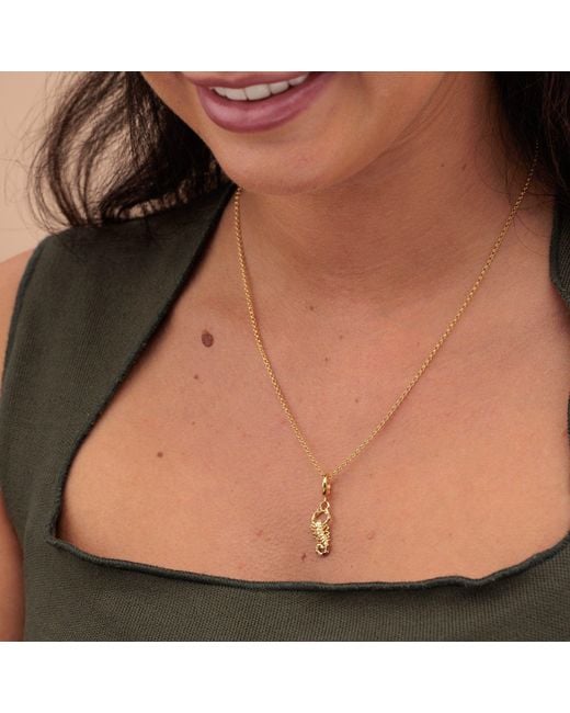 Lily Charmed Metallic Plated Scorpion Charm Necklace
