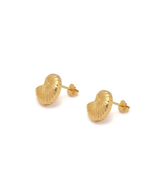 Potoska Metallic Moro Midi Shell Stud Earrings