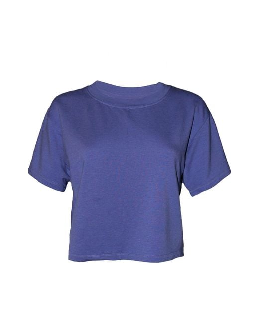 Joeleen Torvick Blue Cropped Box Top Tee