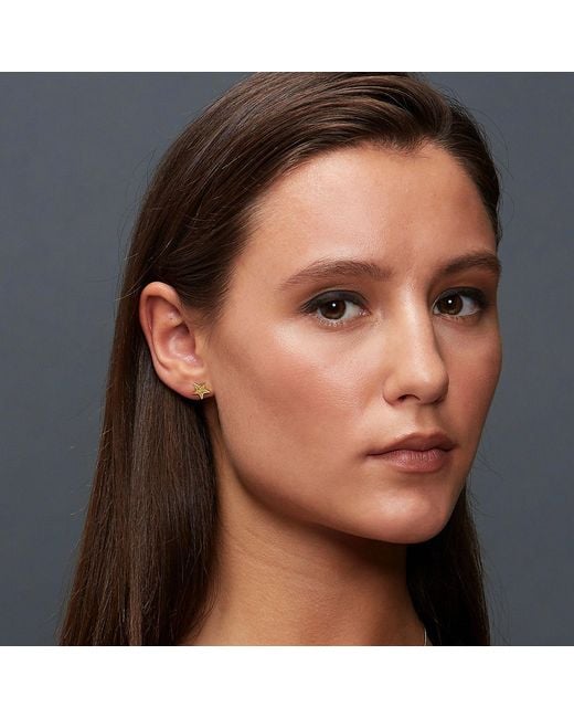 Edge Only Metallic Megastar Stud Earrings 18Ct Vermeil