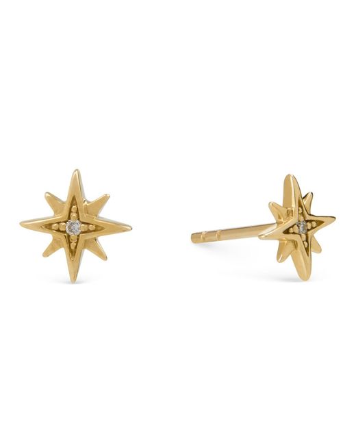Dolcetto Designs Metallic Fides Star Stud Earrings