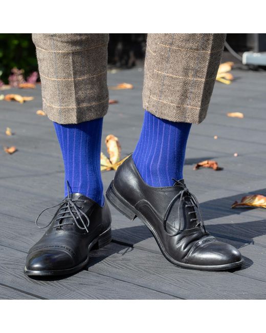 Peper Harow - Made in England Blue Three Pack Essential Socks for men