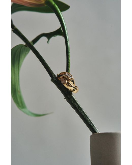 Argento Vivo Metallic Classic Heirloom Earrings