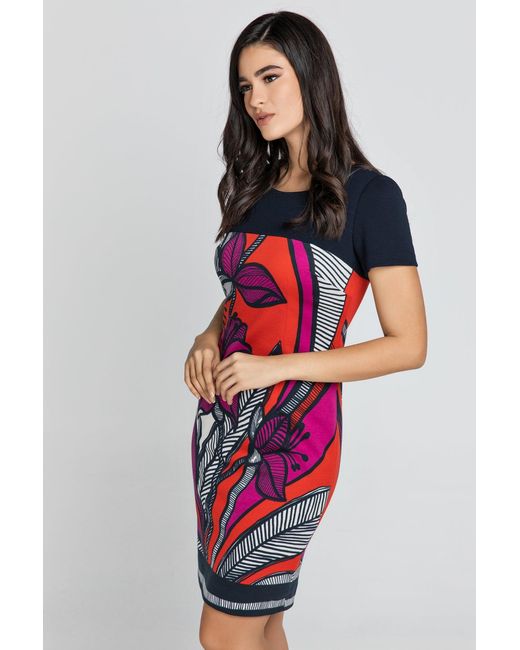 Conquista Blue Floral Dress