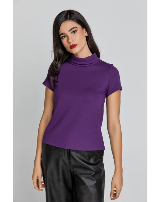 Conquista Purple Short Sleeve Mauve Top