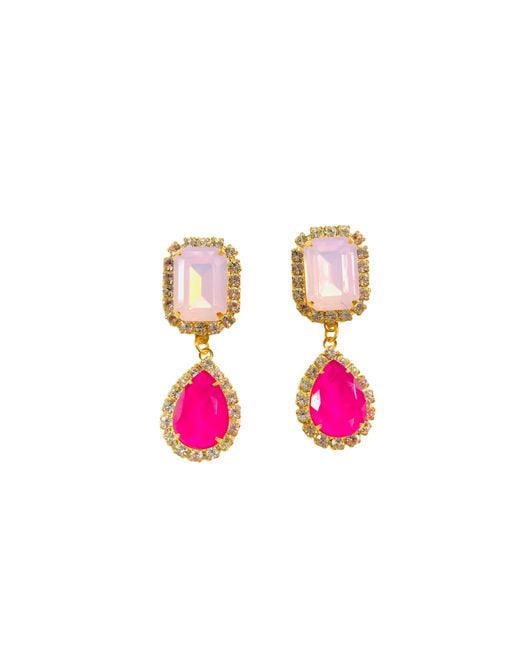 The Pink Reef Pink Jewel Drop Neons