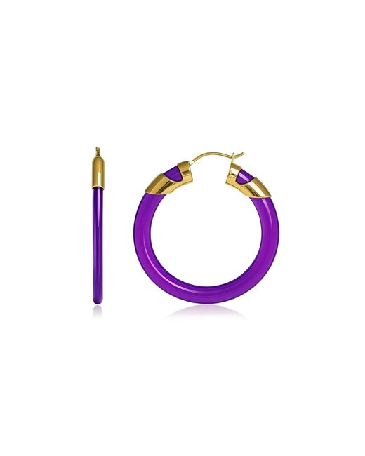 Gold & Honey Purple Amethyst Classic Flat Lucite Birthstone Hoop Earrings