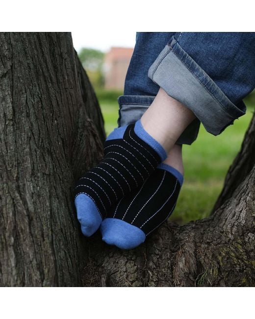 Peper Harow - Made in England Blue Thin Stripe & Dash Trainer Socks Bundle for men