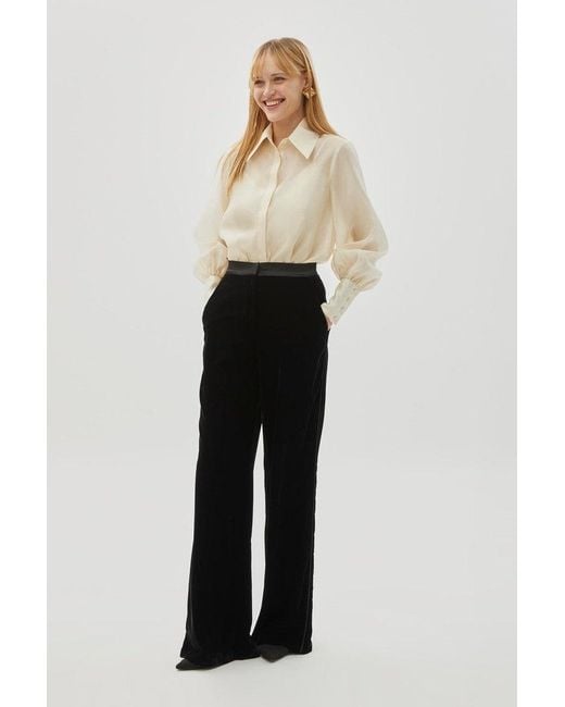 Exquise Black Bradyn Pants Straight Cut Velvet Pants