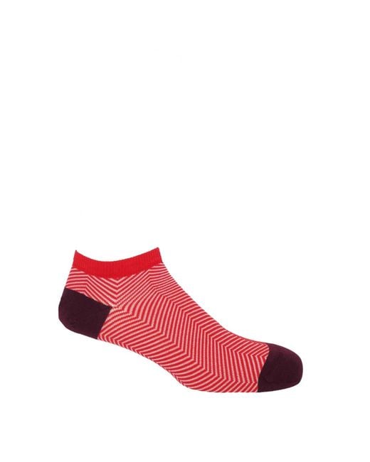 Peper Harow - Made in England Blue Trainer Socks Bundle – Seven Pairs Lux Taylor for men