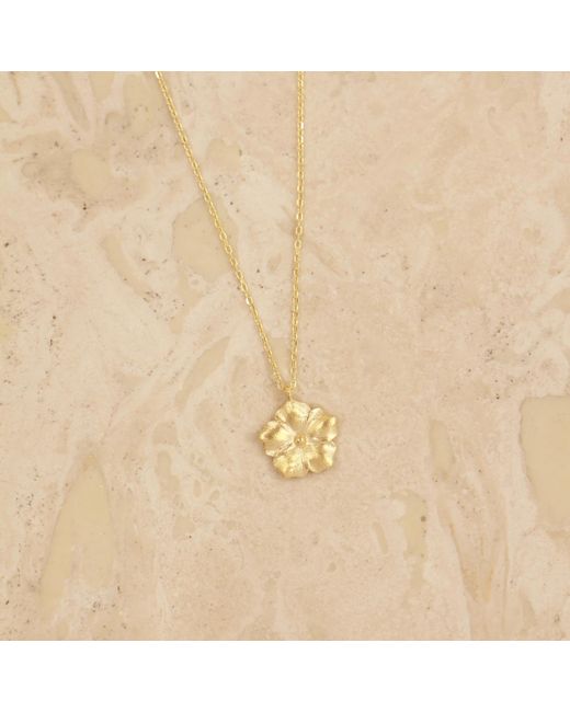 Agora Jewellery Metallic Bavella Mini Necklace